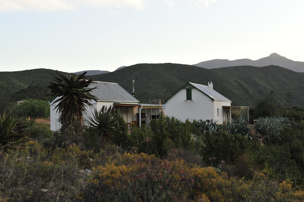 Matjiesvlei Guestfarm Villa Calitzdorp Exterior foto