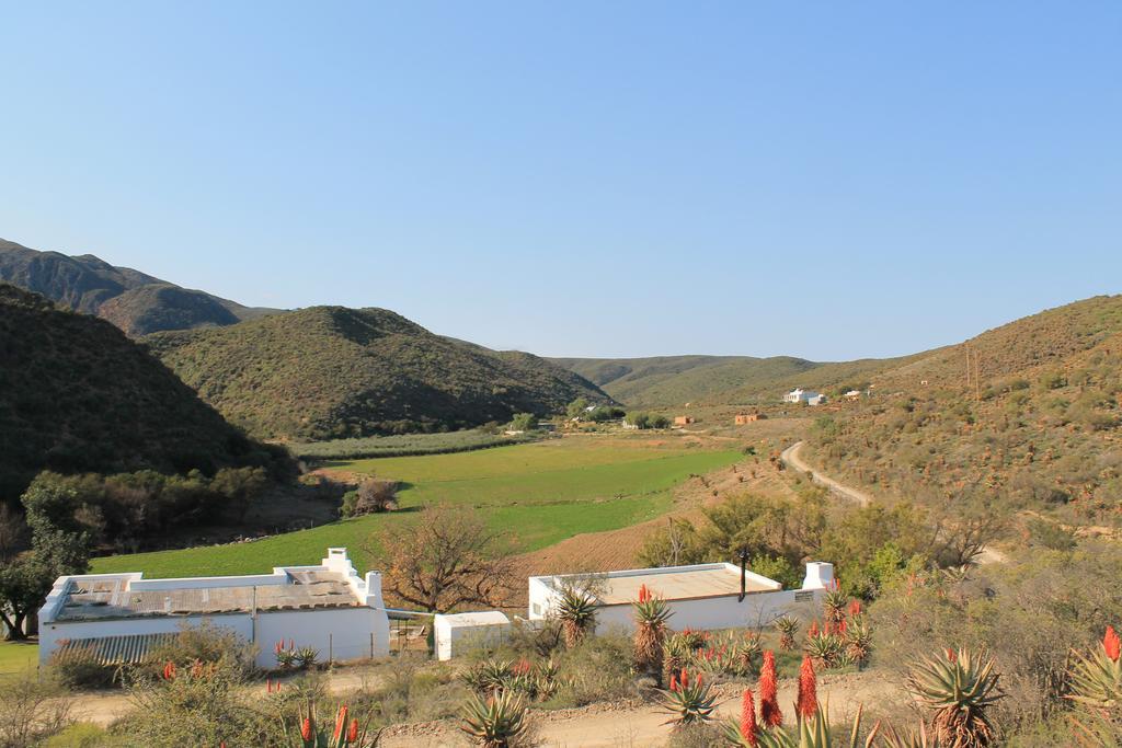 Matjiesvlei Guestfarm Villa Calitzdorp Exterior foto