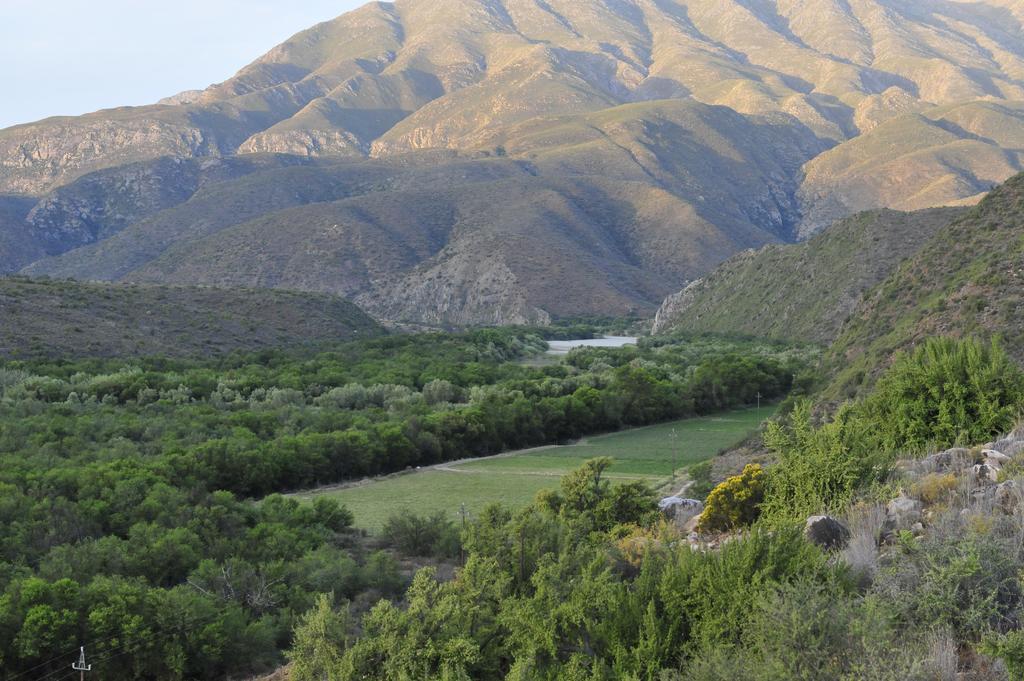 Matjiesvlei Guestfarm Villa Calitzdorp Exterior foto